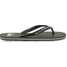 Quiksilver MOLOKAI CORE