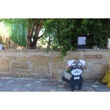Köpek Saksı Standı (Saksı Hediyeli)