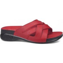 Ceyo Belize-6 Anatomic Bayan Terlik