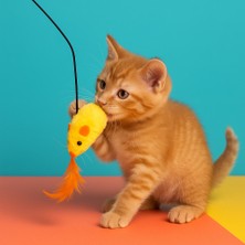 Ses Çıkaran Peluş Fareli Kedi Oltası – Interaktif Oyuncak