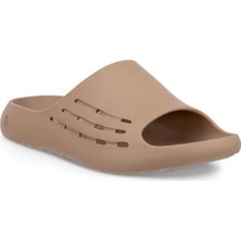 Ecco Cozmo E Nude