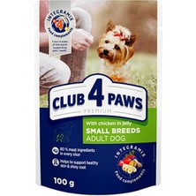Drnds Club4paws Tavuklu Pouch KÜÇÜk Irk YetiŞkin KÖpek JÖle 100 Gr X 6 Adet