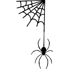 Ağdan Sarkan Örümcek Araba Sticker 17X17 cm Siyah