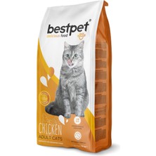 Drnds Bestpet 15 Kg Yetişkin Kediler İçin Tavuk Etli Kuru Mama