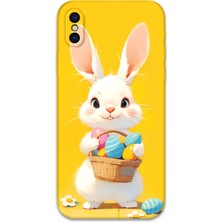 iPhone Xs Uyumlu Tavşan Desenli Telefon Kılıfı + Ekran Koruyucu - 5806