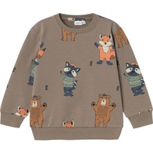 Erkek Çocuk Sweatshirt 13233714