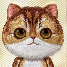 iPhone 16 Pro Uyumlu 3D Göz Golden Kedi Detaylı Gerçek Nakış İşlemeli Kabartmalı Big Eyes Kılıf