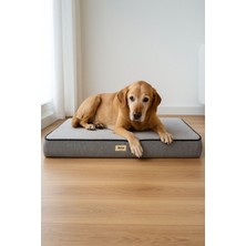 Arthur, Visco Süngerli, Çıkarılabilir Kılıflı, Su Geçirmez, Yüksek Kaliteli Kedi ve Köpek Yatağı