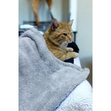 Paw Wellsoft Kedi Köpek Battaniyesi 100X100 cm Açik Gri