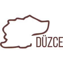 Düzce Harita Araba Sticker 17X17 cm Kahverengi