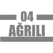 04 Ağrılı Araba Sticker 17X17 cm Gri