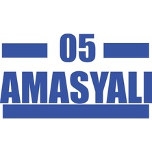 05 Amasyalı Araba Sticker 17X17 cm Mavi