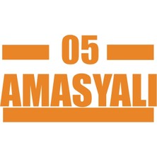 05 Amasyalı Araba Sticker 17X17 cm Turuncu