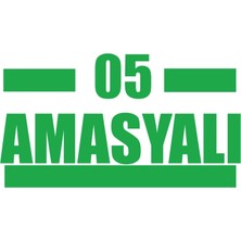 05 Amasyalı Araba Sticker 17X17 cm Yeşil
