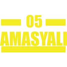 05 Amasyalı Araba Sticker 17X17 cm Sarı