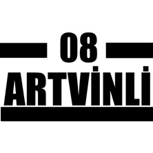 08 Artvinli Araba Sticker 17X17 cm Siyah