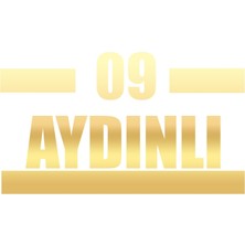 09 Aydınlı Araba Sticker 17X17 cm Gold