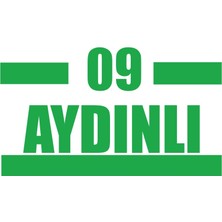 09 Aydınlı Araba Sticker 17X17 cm Yeşil
