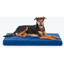 UltraNova 70x110 cm lacivert köpek yatağı, 10 cm yumuşak dolgu, rahat ve şık tasarım