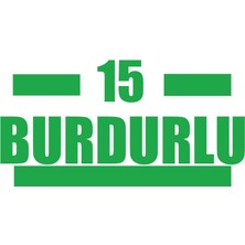 15 Burdurlu Araba Sticker 17X17 cm Yeşil