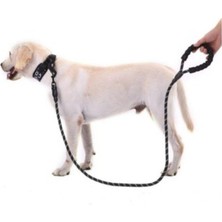 UltraNova Çok Renkli Reflektörlü Köpek Tasması, 130 cm, Güvenli ve Şık Tasarım