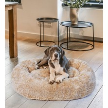 UltraNova Modern bej peluş köpek yatağı, konforlu ve şık tasarım, ev dekoruna uyum sağlar.