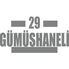 29 Gümüşhaneli Araba Sticker 17X17 cm Gri