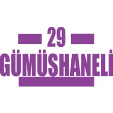 29 Gümüşhaneli Araba Sticker 17X17 cm Mor