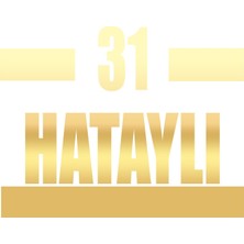 31 Hataylı Araba Sticker 17X17 cm Gold