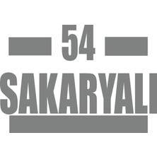 54 Sakaryalı Araba Sticker 17X17 cm Gri