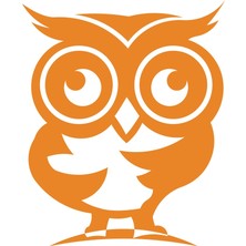 Sevimli Baykuş Sticker 17X17 cm Turuncu