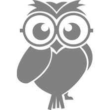 Sevimli Baykuş Sticker 17X17 cm Gri