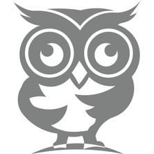 Sevimli Baykuş Sticker 17X17 cm Gri