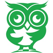 Sevimli Baykuş Sticker 17X17 cm Yeşil