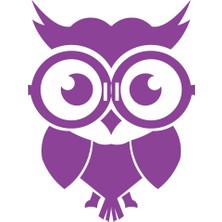 Sevimli Baykuş Sticker 17X17 cm Mor