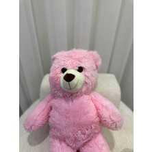 Peluş Oyuncak Ayı
