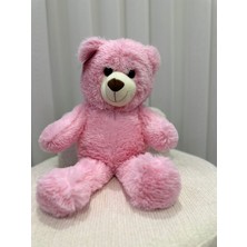 Peluş Oyuncak Ayı