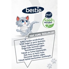 Aktif Karbonlu Topaklanan Kedi Kumu 10 Lt x 2 Adet