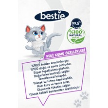 Lavanta Kokulu Kedi Kumu 10 Lt x 2 Adet