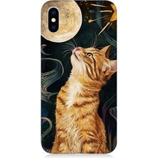 Apple iPhone Xs Uyumlu Aya Bakan Meraklı Kedi  Desenli Silikon Kılıf