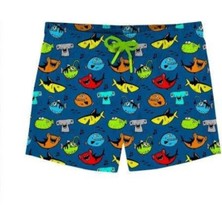 Mediterian Mavi Renkli UV Koruma Çabuk Kuruyan Yaz Şort Mayo, 2-3 Yaş