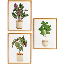 3 Parça Ahşap Çerçeve Görünümlü Botanic Vase - Salon Yatak Odası Mutfak Için Tablo Seti