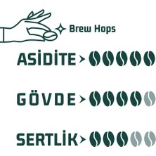 Haldia Coffee Brew Hops Kahve