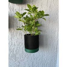 3'lü 3D Baskı Duvar Saksı Seti - Büyük Boy (18CM) – Modern Tasarım, Siyah & Yeşil, Duvara Monte