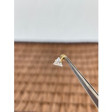 316 L Cerrahi Çelik Üçken Zirkon Taşlı Dudak Helix Kıkırdak Tragus Piercingi
