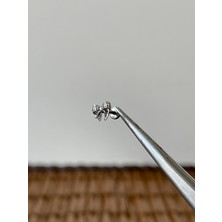 Aida Jewelss 316 L Cerrahi Çelik Fiyonk Modeli Dudak Helix Tragus Kıkırdak Conch Piercing