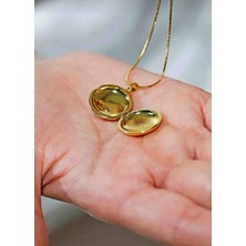 Ankakuşu Alya Kolyesi Gold Renk Çelik Kapaklı Kolye