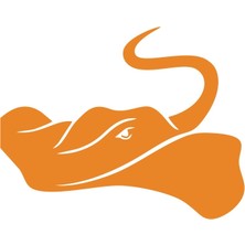 Vatoz Sticker 17X17 cm Turuncu