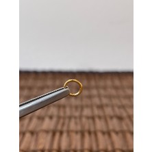 316 L Cerrahi Çelik Şık Kesme Baklava 6 mm x 1.2mm Altın Kilitli Halka Piercing