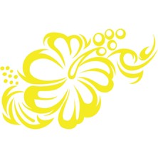Hibiskus Çiçeği Sticker 17X17 cm Sarı